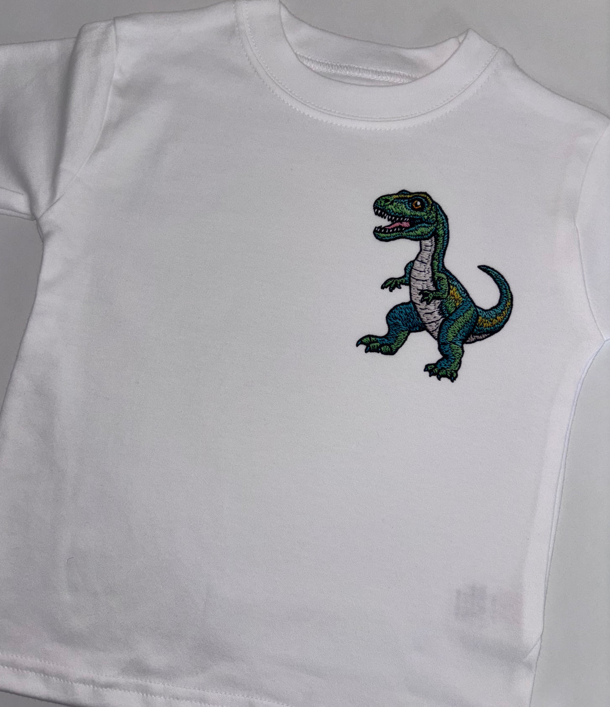 Embroidery style dinosaur tshirt